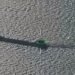 Black Sea shipping faces renewed drone attacks as two bulk carriers are hit