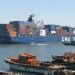 Asian Port Congestion Pushes Container Lines Back Towards the Red Sea