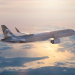 Etihad Cargo appoints AVIAREPS as GSA in Uzbekistan