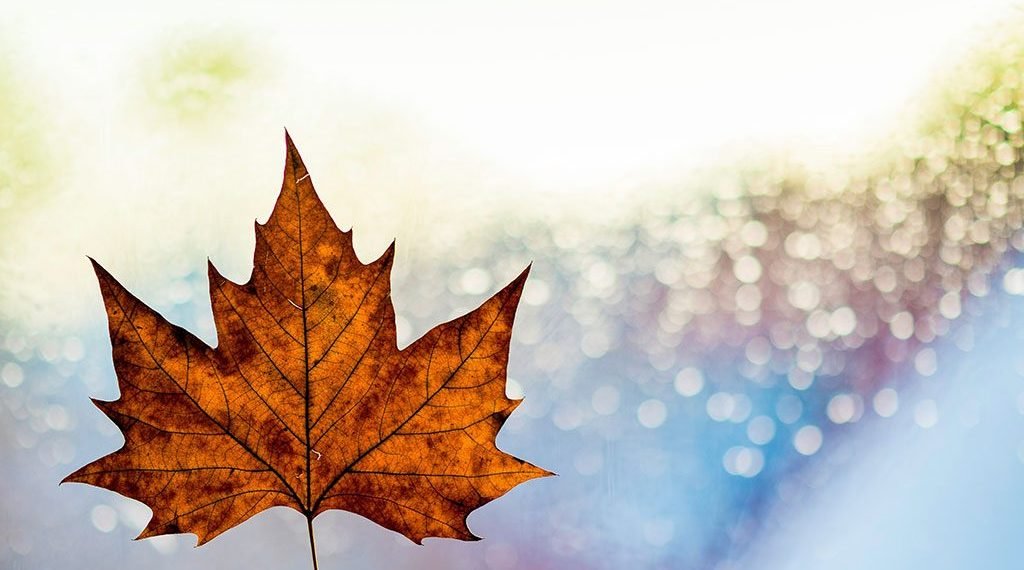 Ontario announces $10M in new skills development funding
