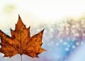 Ontario announces $10M in new skills development funding