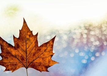 Ontario announces $10M in new skills development funding
