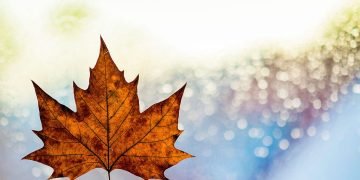 Ontario announces $10M in new skills development funding