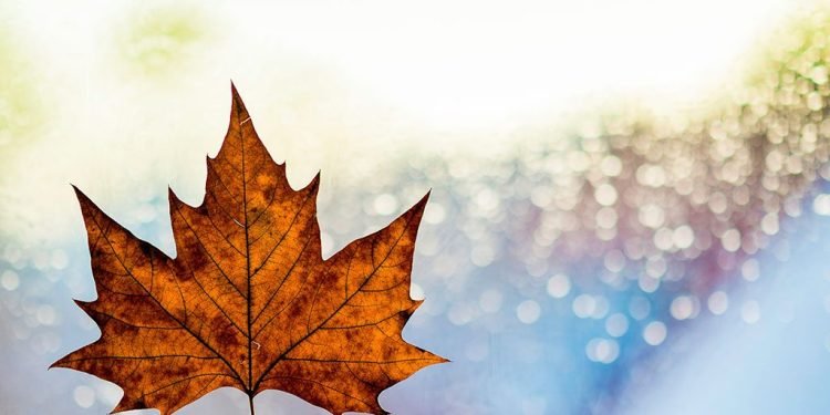 Ontario announces $10M in new skills development funding