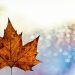 Ontario announces $10M in new skills development funding