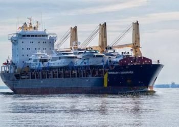 Veteran Longshoreman Killed in Rare Workplace Accident at Port of Baltimore