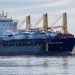 Veteran Longshoreman Killed in Rare Workplace Accident at Port of Baltimore