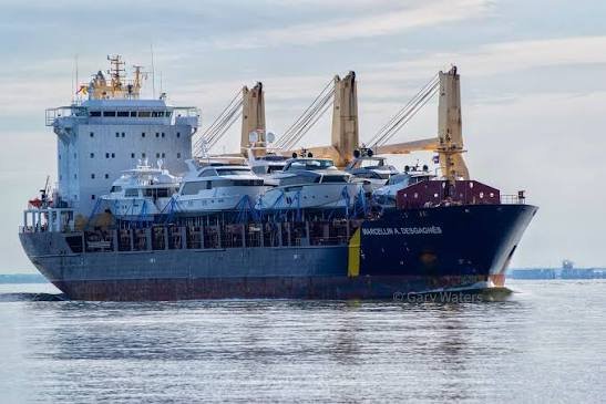 Veteran Longshoreman Killed in Rare Workplace Accident at Port of Baltimore