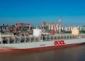OOCL H1 Profit Falls Despite Record Revenue and Higher Container Volumes