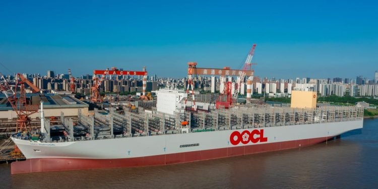 OOCL H1 Profit Falls Despite Record Revenue and Higher Container Volumes