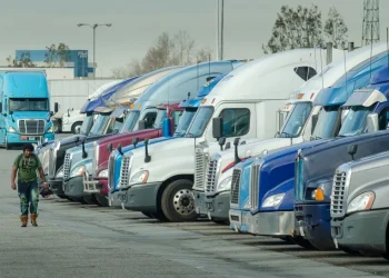 TAEC Says Trucking Reforms Could Affect More Than 194,000 Non-Domiciled CDL Holders
