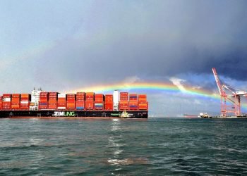 Brazil’s ZIM Review Puts Hapag-Lloyd Deal Under Fresh Pressure