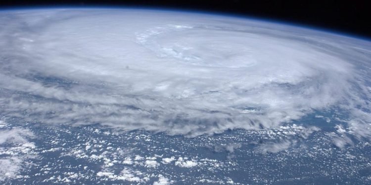 Typhoons, AI-powered cargo driving up transpacific container rates