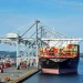 Canadian Authorities Block $28 Million in Fraudulently Obtained Vehicles Before Overseas Export