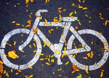 Alberta Backs Ontario Bike Lane Ruling as ‘A Win for Common Sense’