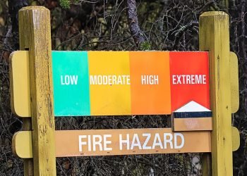 Wildfire Season on Track to Become Canada’s Fourth-Worst on Record as Fire Risk Remains Elevated