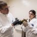 Bronx Zoo Helps Rescue More Than 800 Turtles Seized in Illegal Wildlife Trade