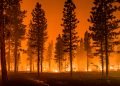 WorkSafeBC Urges Employers to Strengthen Wildfire Evacuation Plans