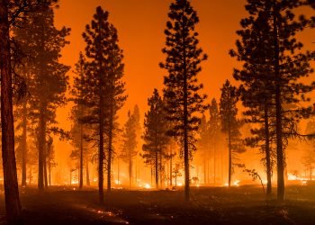 WorkSafeBC Urges Employers to Strengthen Wildfire Evacuation Plans