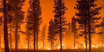 WorkSafeBC Urges Employers to Strengthen Wildfire Evacuation Plans