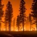 WorkSafeBC Urges Employers to Strengthen Wildfire Evacuation Plans