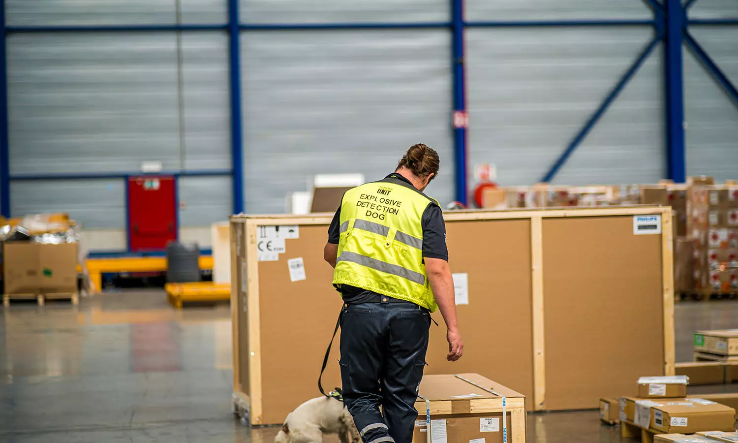 ULD build-up inside a cargo warehouse at Liège Airport
