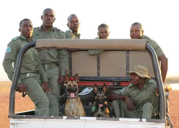 Emirates SkyCargo flies conservation K9 team to Zimbabwe
