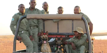 Emirates SkyCargo flies conservation K9 team to Zimbabwe