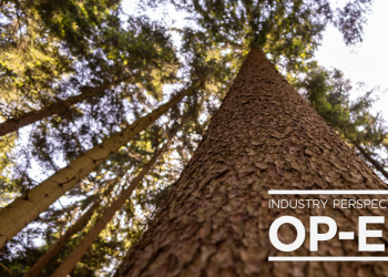 B.C.’s Forest Sector Calls for Immediate Provincial Action as Industry Crisis Deepens