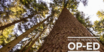 B.C.’s Forest Sector Calls for Immediate Provincial Action as Industry Crisis Deepens