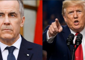 Carney: U.S. sought to turn Canadian industries into subsidiaries or wipe them out
