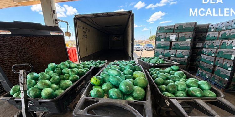 DEA seizes more than 2,000 pounds of meth hidden in South Texas cabbage shipment