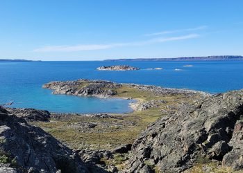 Three teams shortlisted for $1 billion Grays Bay Road and Port project