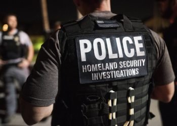 Truck Inspection Leads ICE to Driver Wanted on Federal Fraud Charges
