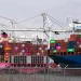 Ocean Freight Rates Ease Slightly, but Transpacific Prices Remain Elevated