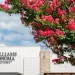 Williams-Sonoma to Share Tariff Refunds With Vendors and Employees
