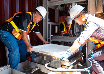 Unique university–First Nation partnership turns wood waste into biodegradable packaging