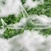 €2.1 Billion eSAF Scheme Launched by Germany, Austria and Luxembourg