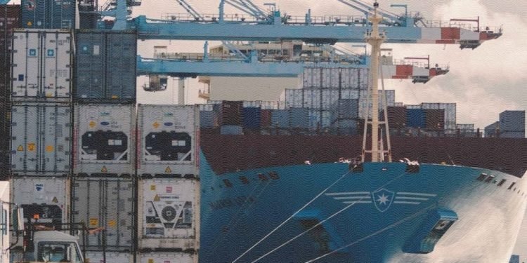 Container Shipping Schedule Reliability Falls to Just 29% in August