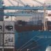 Container Shipping Schedule Reliability Falls to Just 29% in August