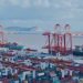 New Data Shows Container Shipping’s On-Time Performance Suffers Its Biggest Drop in Five Years