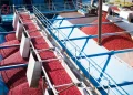 Ocean Spray Appoints Brad Hartzell as Chief Supply Chain Officer