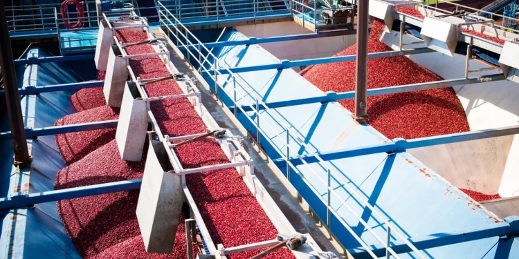 Ocean Spray Appoints Brad Hartzell as Chief Supply Chain Officer