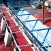 Ocean Spray Appoints Brad Hartzell as Chief Supply Chain Officer