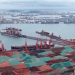 Trans-Pacific Spot Rates Reach New Highs as Resilient Demand Meets Port Congestion