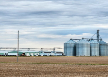 Seasonal Ag Truckers From Mexico Face the Same English-Language Rules, DOL Confirms