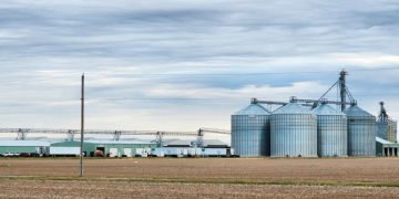 Seasonal Ag Truckers From Mexico Face the Same English-Language Rules, DOL Confirms