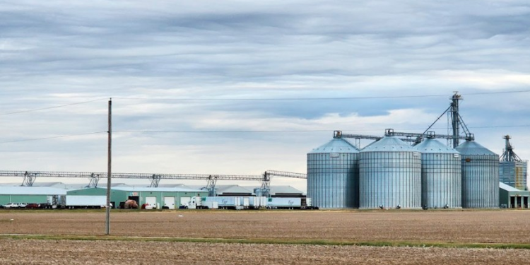 Seasonal Ag Truckers From Mexico Face the Same English-Language Rules, DOL Confirms