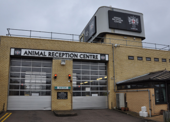 Heathrow Animal Reception Centre secures third consecutive IATA CEIV Live Animals re-certification