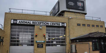 Heathrow Animal Reception Centre secures third consecutive IATA CEIV Live Animals re-certification